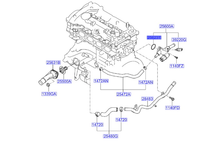 اورینگ هوزینگ ترموستات توسان هیوندای Genuine Parts | 256232E000